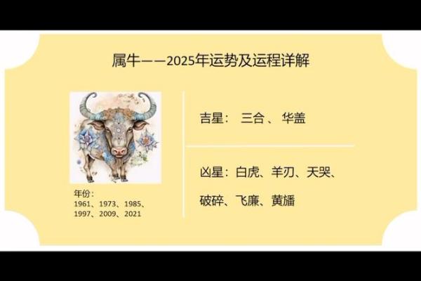 属龙的金牛座2025年运势_属龙的金牛座2025年运势及运程