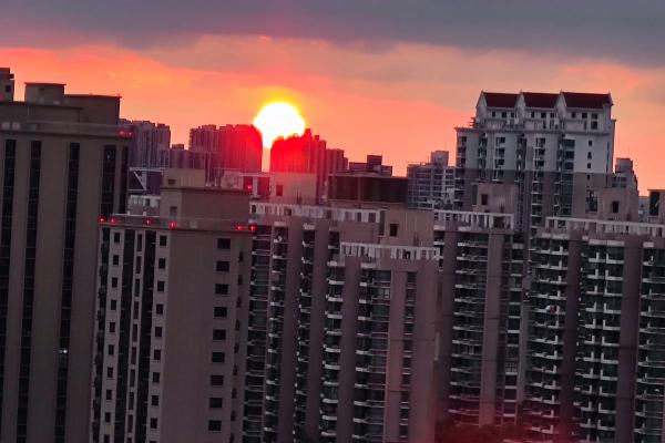 夕阳西下打一准确生肖