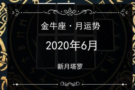 金牛座六月运势_金牛座6月运势