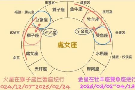 2025年星座运势处女座 处女座运势2023年全年运势