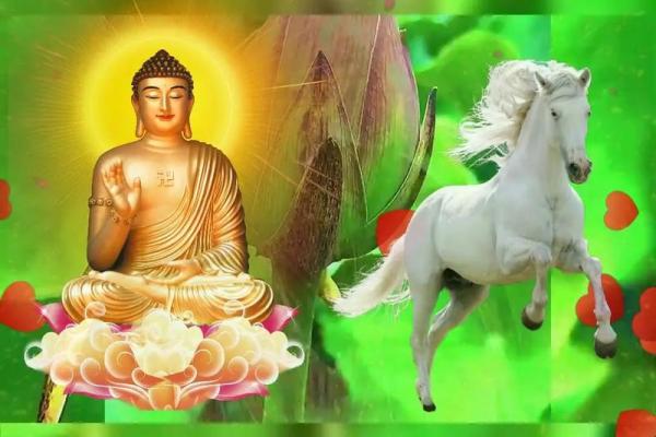 1990年属马的最佳配偶 1990年属马的最佳配偶财运