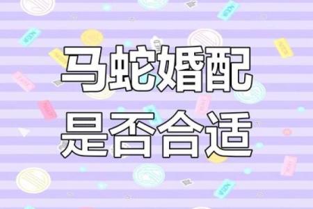 2001年属马的最佳婚配_属马最佳婚配