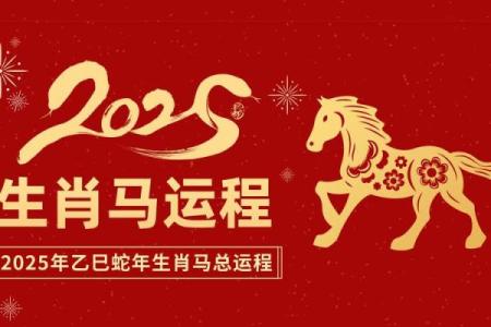 属马的2025年多大了 2025年属马人多大了年龄对照表与运势全解析