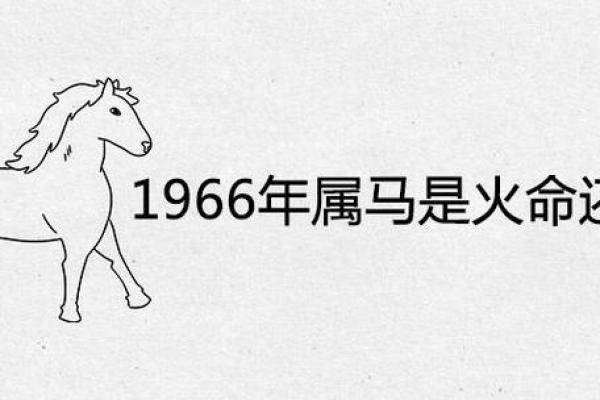 1978年属马的是什么马_1978年属马是什么马什么命