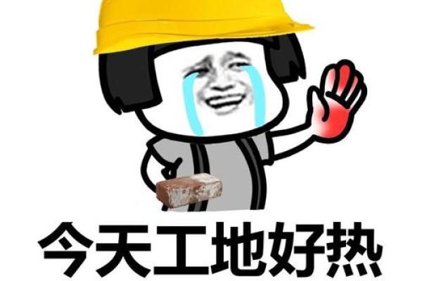 今天动工好不好