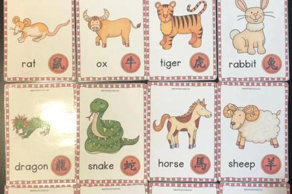 闪代表什么生肖(闪是指什么动物的生肖)