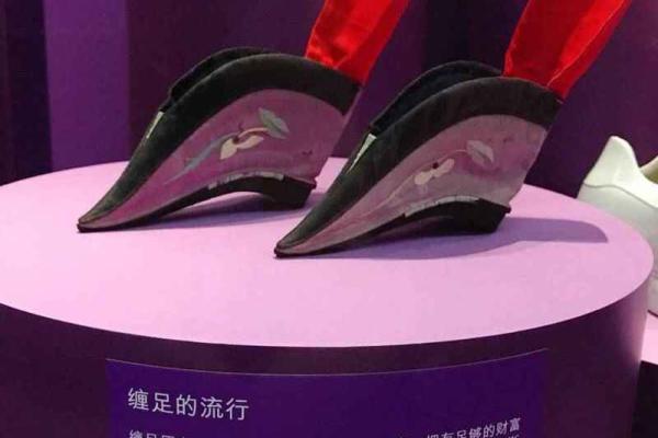 三寸金莲是什么生肖(三寸金莲是什么生肖动物)