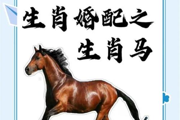 1978属马几月命苦_78属马配什么属相最好