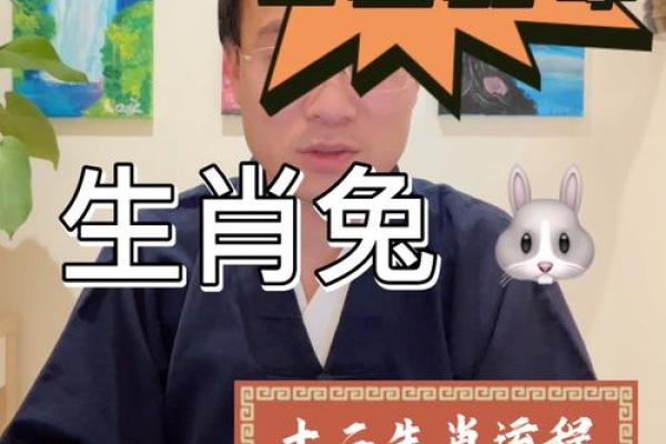 2025年属兔运势详解财运事业感情全解析