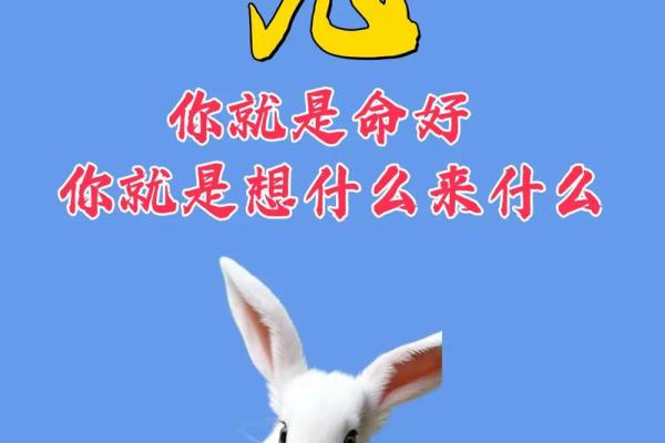 1975年属兔是什么五行命_1975年的兔五行属什么