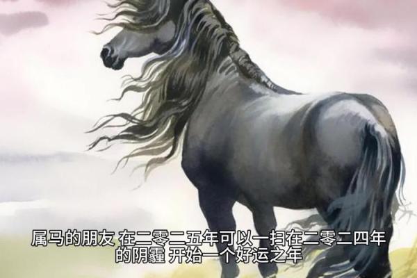 2025年属马男人的全年运势_2025年属马男人全年运势详解财运感情事业运程指南