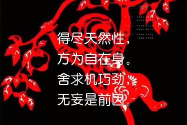 豪言空话打一个生肖(豪言空话打一个生肖)