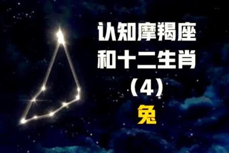 1999年属兔城墙土命的男生 1999年属兔城墙土命男生运势解析与性格特点
