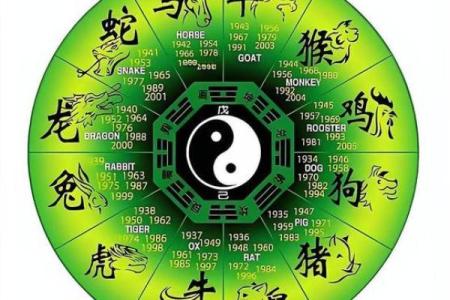 点滴归公指什么生肖(点滴归公什么生肖)