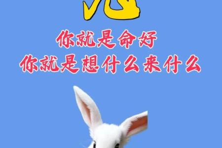 1975年属兔是什么五行命_1975年的兔五行属什么