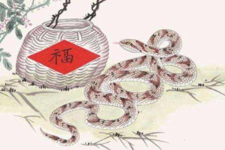 地动山摇打一生肖(地动山摇打一生肖正确答案)