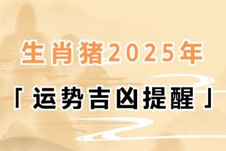 属猪2025年运势及运程1983年出生_1983年属猪人2025年运势详解财运事业感情全解析