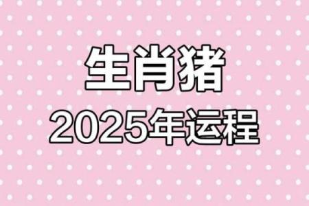 属猪的2025多大了 71年属猪的人今年多大