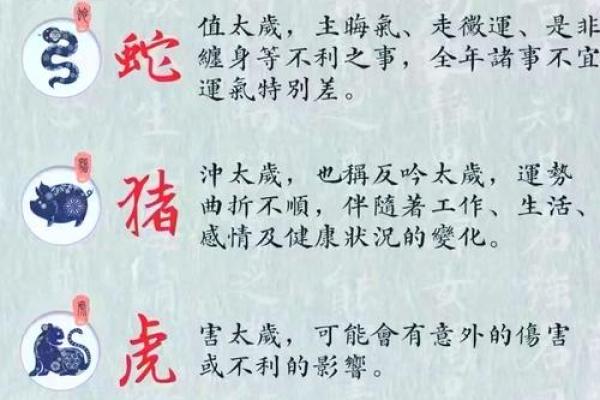 新坟动土有什么讲究(新坟不小心动土了怎么办)