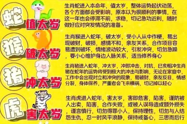 1991属羊人2025年全年运势详解_1991属羊人2025年运势详解全年运程大揭秘