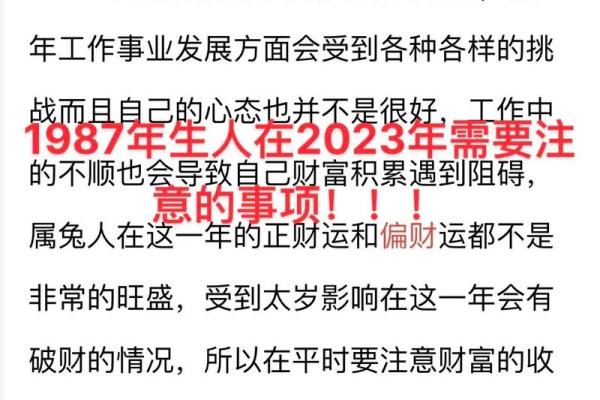 2025年87年属兔人运势详解财运事业感情全解析