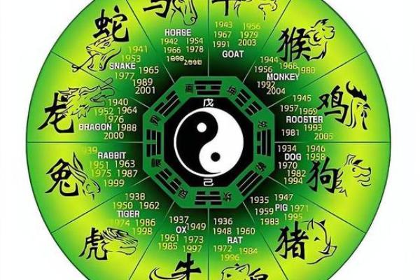 火眼金睛代表什么生肖(火眼金睛是指什么生肖)