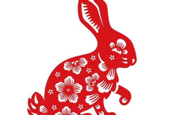 2025属兔的吉祥色_2025年属龙的吉祥色