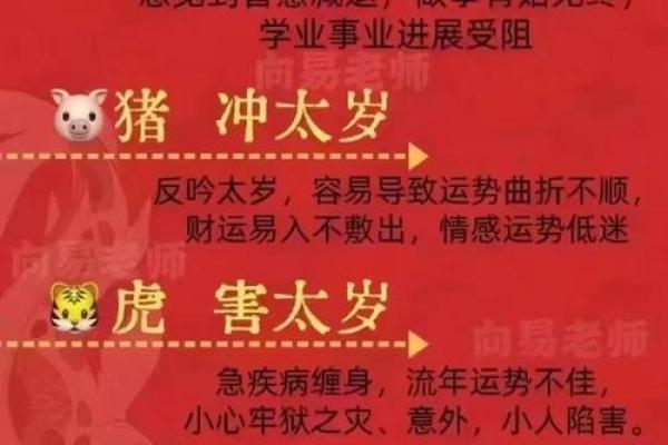 2024年结婚最好的属相(2024年可以结婚吗)