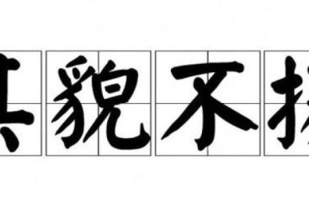 其貌不扬最佳答案生肖(其貌不扬是什么生肖360问答)