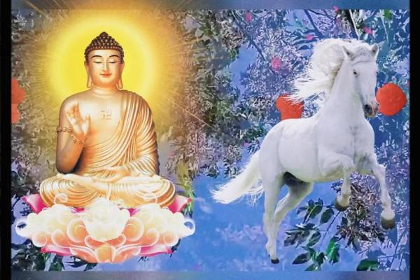 1990属马今年运势_1990属马在2022年运势