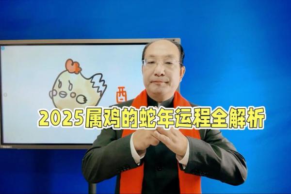 属鸡在2025蛇年的运气_属鸡2025的特大贵人