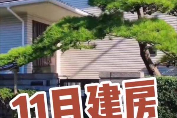 那天可以动土(那天可以动土建房)