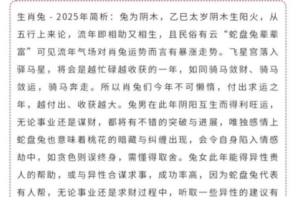 2025属兔的运势和财运怎么样_2025年生肖兔