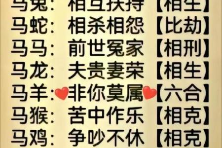 1978年属马配偶 78马男人最佳妻子