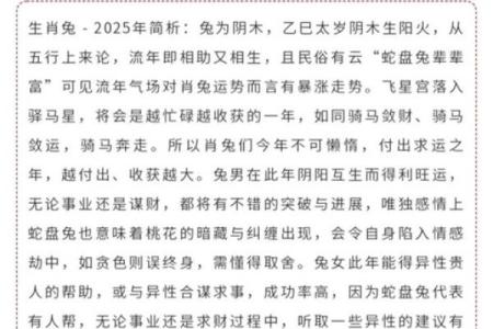 2025属兔的运势和财运怎么样_2025年生肖兔