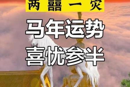 2023属马人健康运势解析全年财运吉凶预测