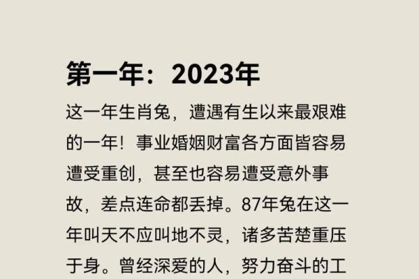 2025年属兔1963人的全年运势_属兔人2025年运势及财运