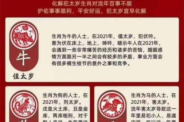 属马的犯太岁年份有哪些 属马的人犯太岁怎么化解