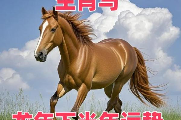 龙年属马人的运势如何 龙年属马人2024全年每月运势详解