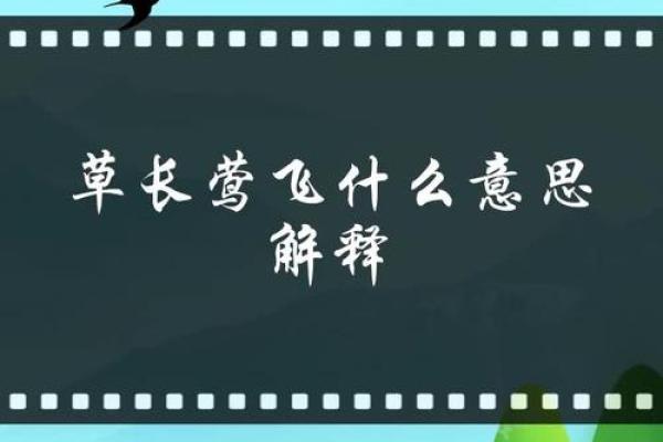 草长莺飞是什么生肖(草长莺飞是什么生肖动物)