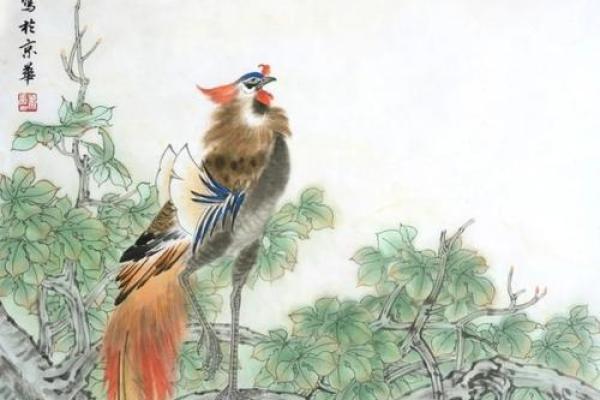 丹凤朝阳代表什么生肖(丹凤朝阳打一肖)