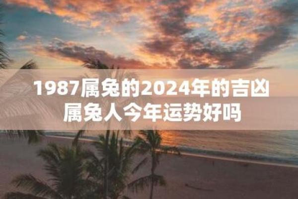 1987年属兔2024年每月运势详解全年运程完整版