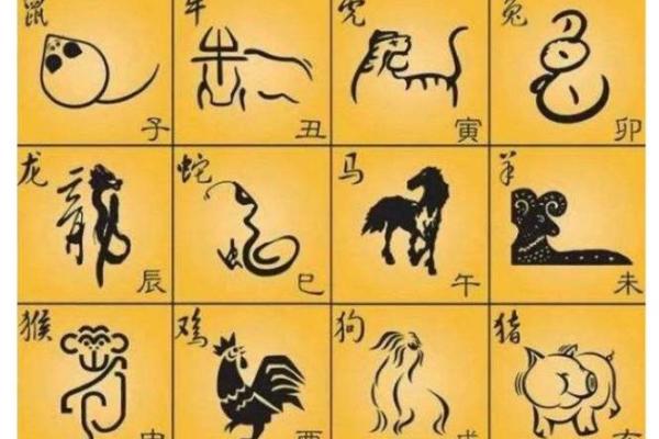 芬芳人间代表什么生肖(芬芳人间打一肖动物)