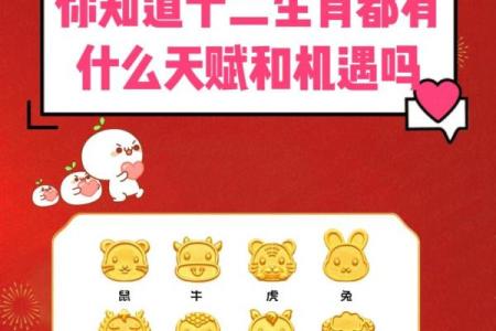 百花齐放是指什么生肖(百花齐放指什么生肖最准确)