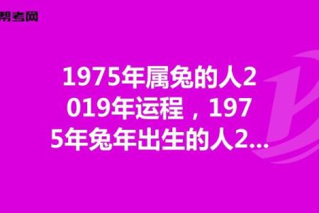 87年属兔的2026年运势怎么样 87年2026大运十年