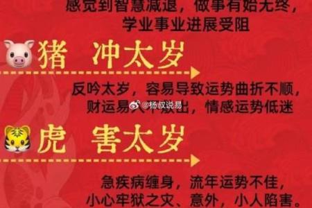 东宫辅助是什么生肖(东宫辅助是什么生肖)