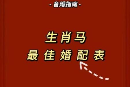1990属马男性最佳配偶_1990属马男和什么属相最配