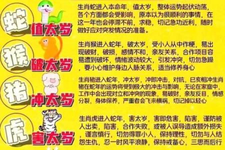 1991属羊2025年运势与财运详解