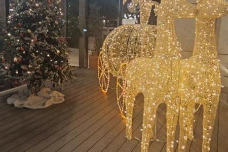 星星点灯是什么生肖(星星点灯是什么生肖)