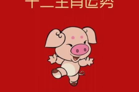 属猪几几年出生_属猪几几年出生多大